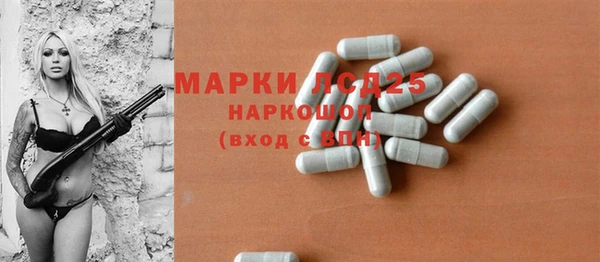 прущий лед Каменка