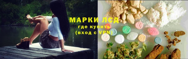 прущий лед Каменка