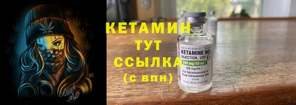 прущий лед Каменка