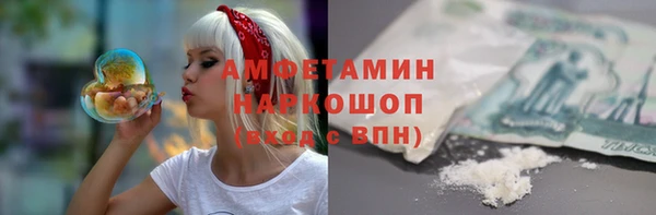 прущий лед Каменка