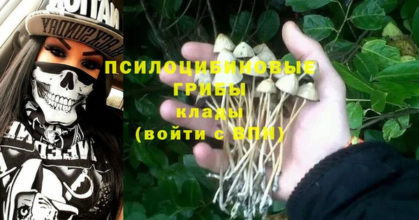 ешки Карпинск