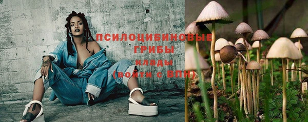 прущий лед Каменка