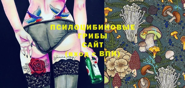 круглые Каменногорск