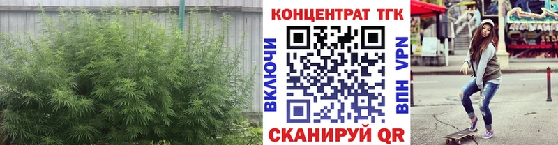 блэк спрут как зайти  Динская  Дистиллят ТГК гашишное масло 