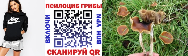Псилоцибиновые грибы мицелий  МЕГА онион  Динская 